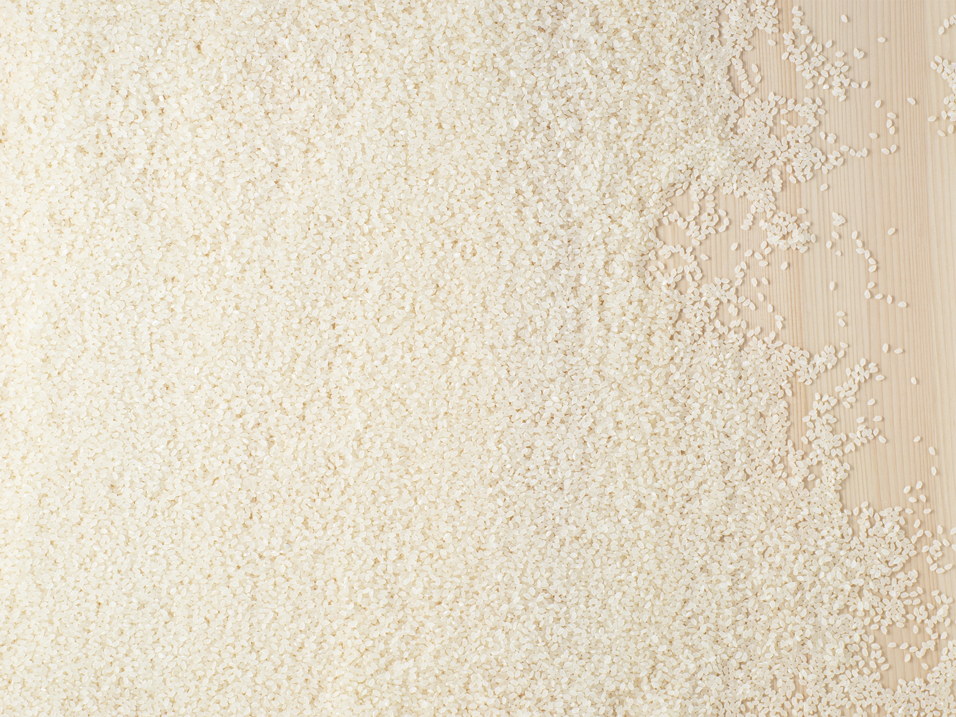 Craft the Perfect pairing.: Seafood and Sake | JFOODO